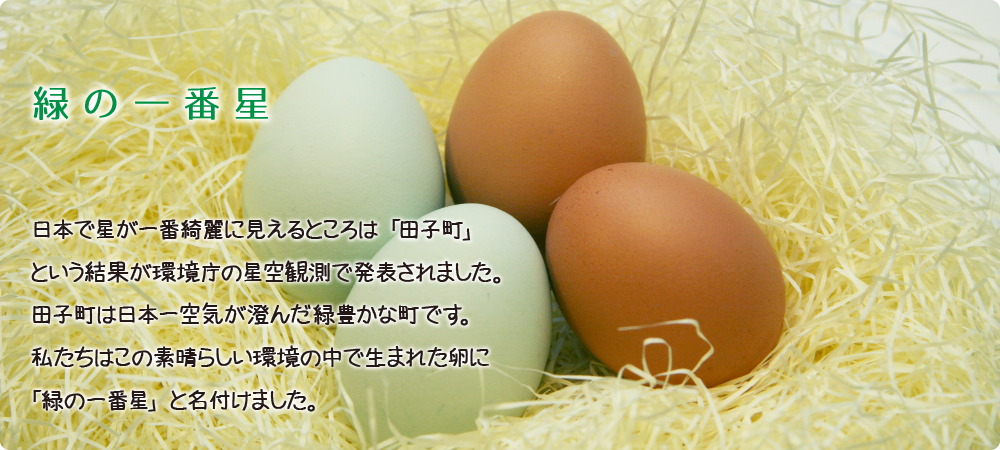 健康なたまごは健康な鶏から生まれます 田子たまご村 健康なたまごは健康な鶏から生まれます 田子たまご村